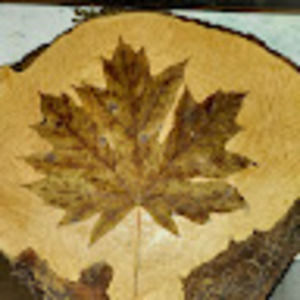 Meet your Posher, Tarah